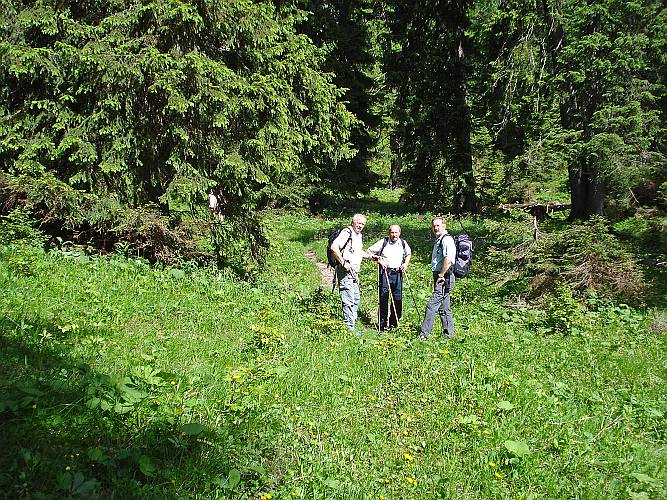 09 gruene Wiesen  wunderbar